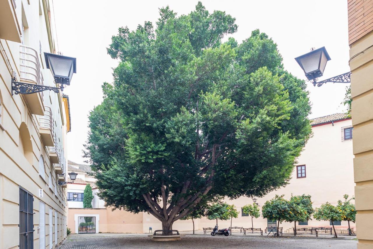 Alohamundi Escuelas Pias Seville Exterior photo